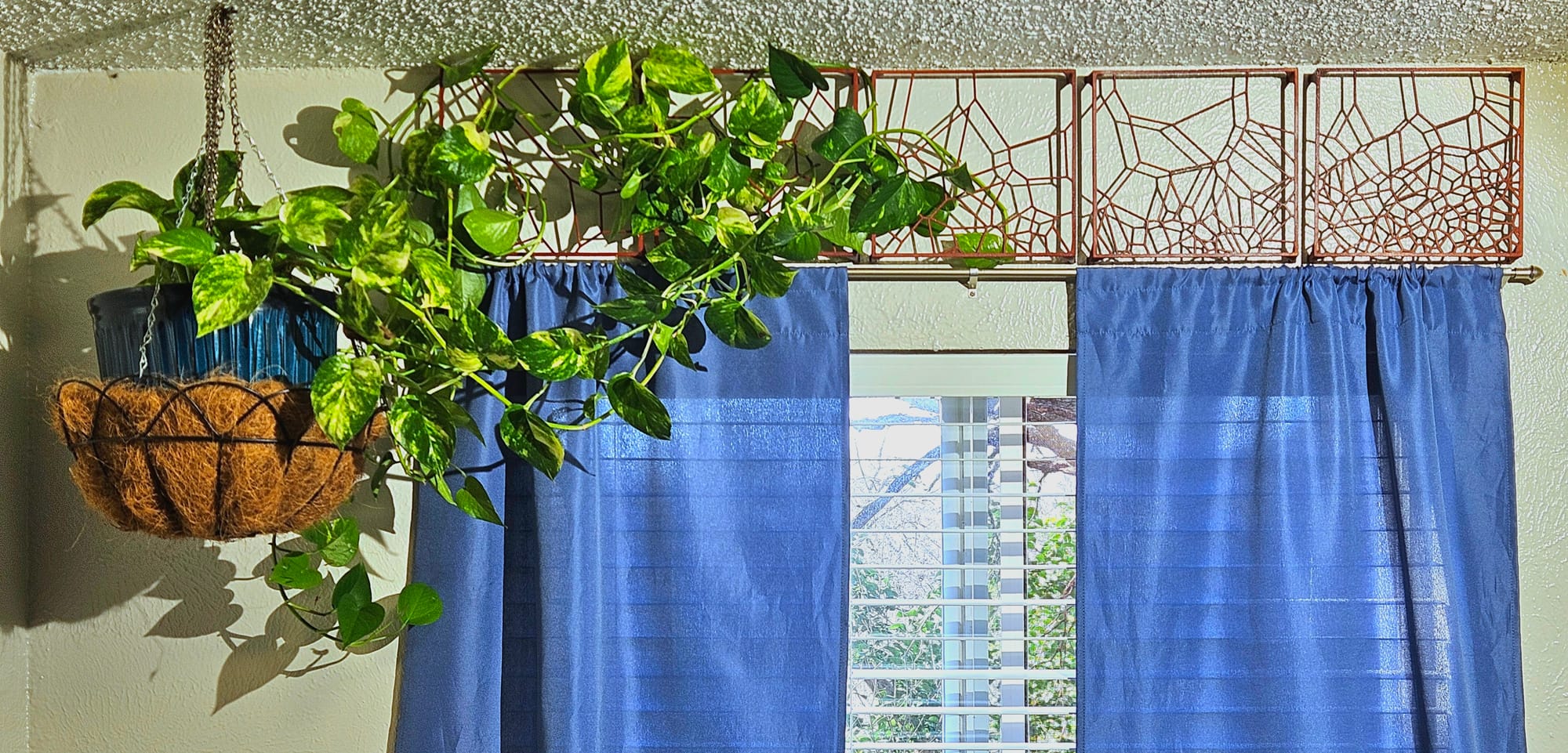 Final lattice with plant hung